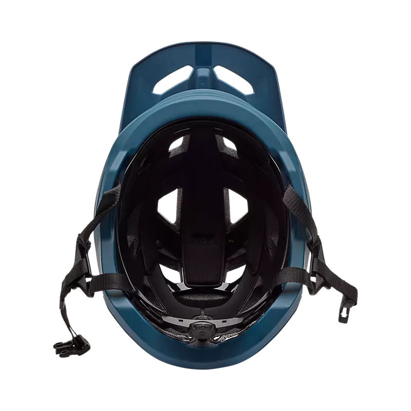 33497407_5